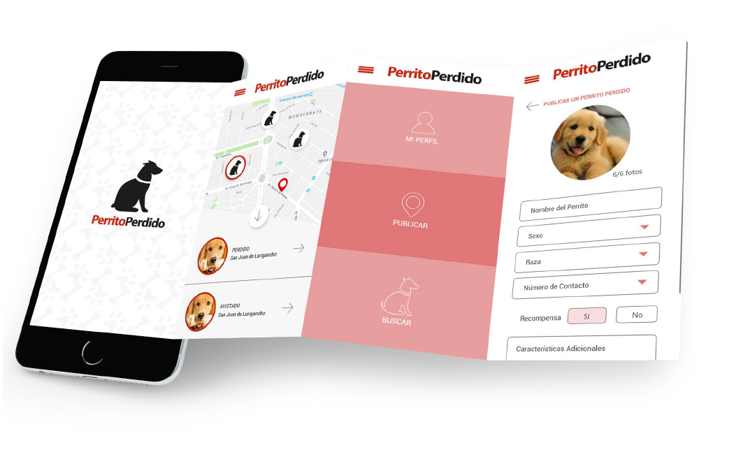 Perrito Perdido